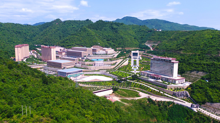 202006241592963149721298.jpg 05.jpg